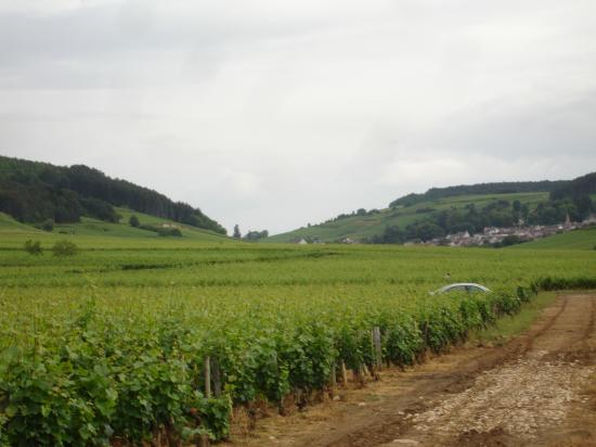 Bourgogne Rouge