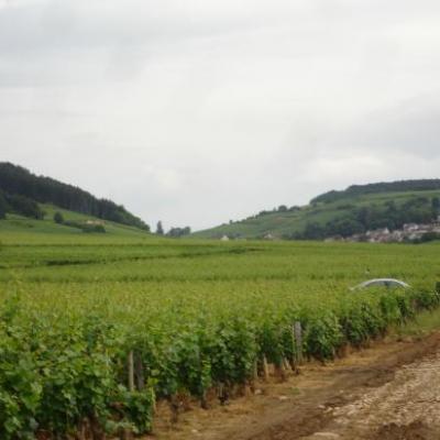 Bourgogne Rouge