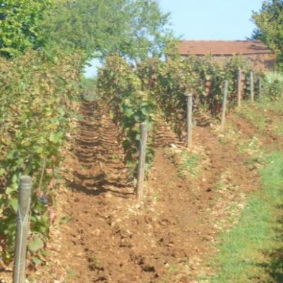 Bourgogne Hautes Côtes de Nuits