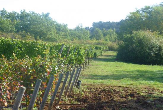  Bourgogne Hautes Côtes de Nuits