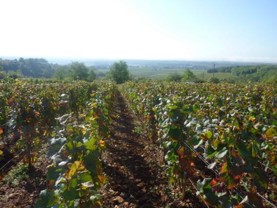  Bourgogne Hautes Côtes de Nuits