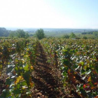  Bourgogne Hautes Côtes de Nuits