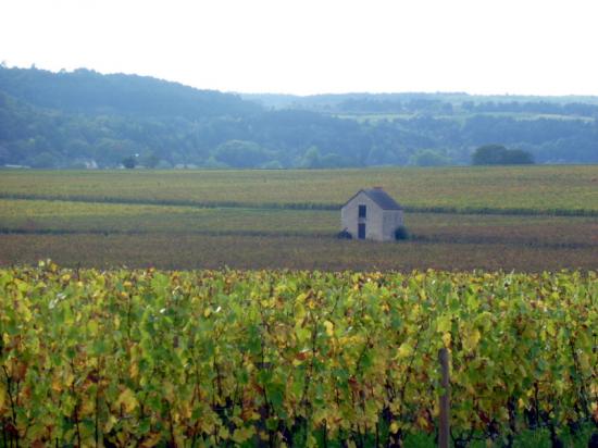 Bourgogne Rouge